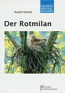 Rotmilan milvus - rotmilan:,